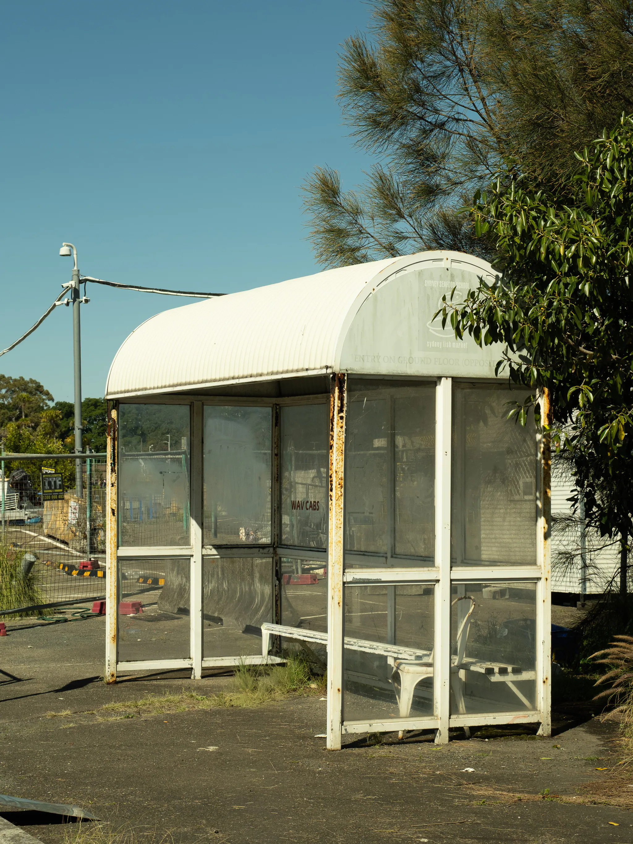 a rusting white bus shelter with a curved roof and cloudy glass, an empty chair inside, beside a tree on a sunny day